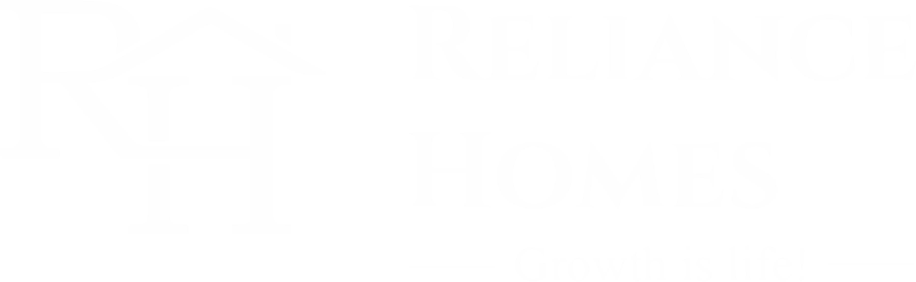 Reliance Homes Infrastructure Limited
